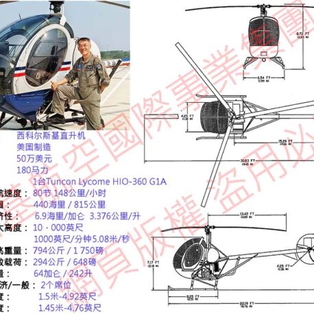 Schweizer-300-9